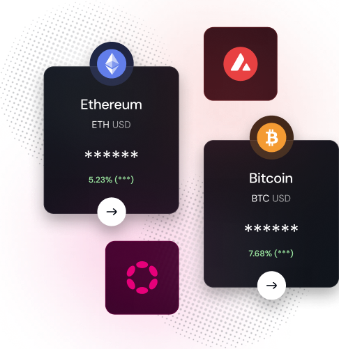 xLabs Professional Team